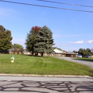 A peaceful outdoor scene featuring trees and a building under a clear blue sky.