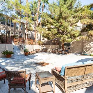 Sunny backyard patio with comfortable seating and surrounding trees.
