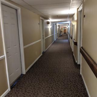 A peaceful and well-lit hallway with carpeted floors and closed doors.