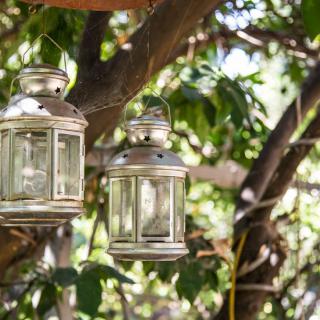 Two decorative lanterns hang amidst lush garden foliage.