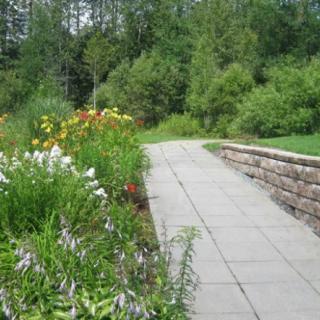 A serene garden pathway surrounded by vibrant flowers and lush greenery.
