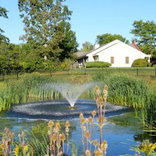 A serene pond with a fountain surrounded by greenery and a house in the background.