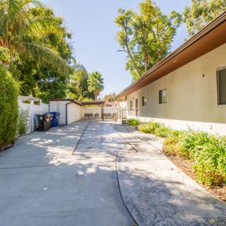 A sunny driveway alongside a residential house with trees and vegetation.