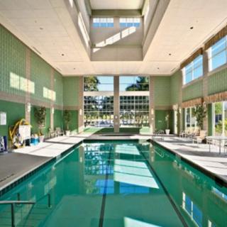 A luxurious indoor swimming pool with abundant natural sunlight streaming through large windows.