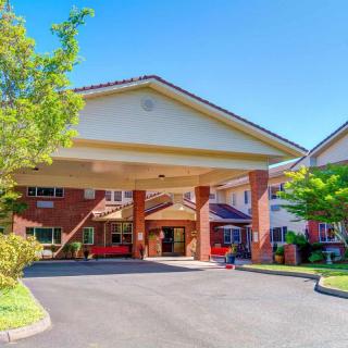 A sunny day view of a building entrance with a covered driveway and surrounding greenery.