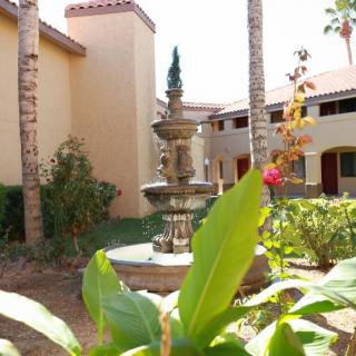 A serene courtyard with a central fountain surrounded by palm trees and lush plants, nestled between Mediterranean-style buildings.