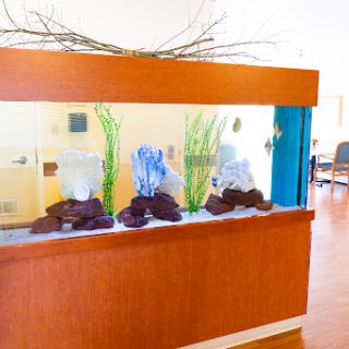 A modern aquarium setup featuring decorative elements and vibrant greenery.