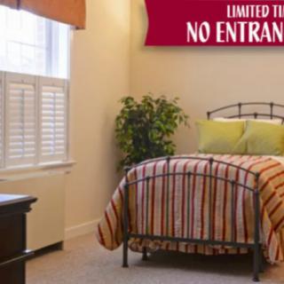A cozy bedroom with a striped bedspread and a decorative plant in the corner.