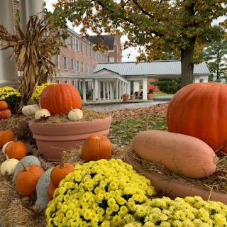 A beautiful autumn display featuring a variety of pumpkins and colorful chrysanthemums, showcasing the season's harvest.