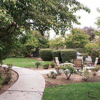 A serene garden with a winding pathway and seating area surrounded by lush greenery.