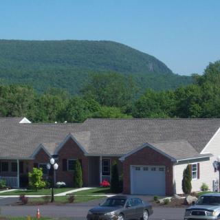 A suburban neighborhood with houses and cars, set against a backdrop of a green mountain.