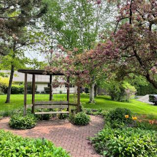 A serene garden space with a wooden bench surrounded by lush greenery and blooming trees.