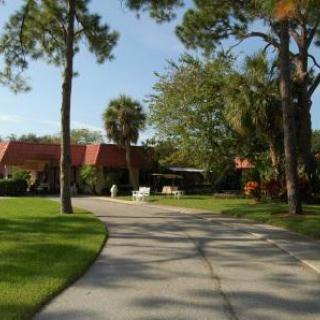 A suburban house with a long driveway surrounded by trees and a well-maintained lawn on a sunny day.