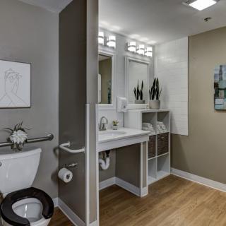 A modern bathroom features a toilet, sink with mirror, and elegant decor.