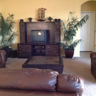 A cozy living room with a television, leather sofas, and decorative plants.