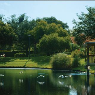 A serene landscape featuring a peaceful lake surrounded by lush greenery and trees.