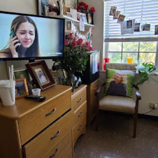 A cozy living space featuring a television, decorative plants, and personal photographs.