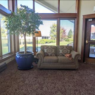 A cozy lobby featuring a comfortable sofa and a large potted plant, illuminated by natural light from the windows.