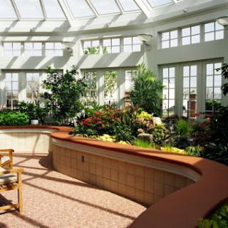 A bright and inviting sunroom filled with lush plants and natural light, creating a serene relaxation area.