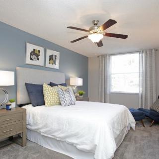 A cozy bedroom with a white bed, blue accent wall, and ceiling fan.