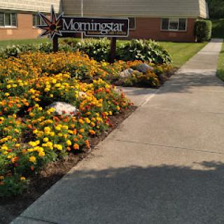 A vibrant garden filled with colorful flowers, leading to a building with a sign that reads 'Morningstar'.