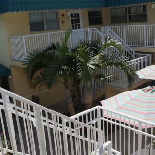 A sunny courtyard with a palm tree, balconies, and an umbrella.