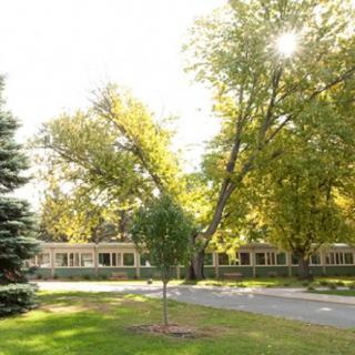 A sunny day with trees casting shadows on a building by the road.