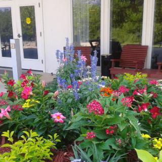A vibrant garden in front of a building entrance, featuring colorful flowers and outdoor seating.