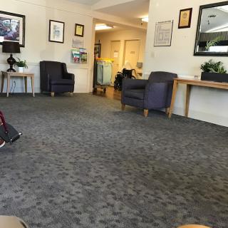 A quiet waiting room with chairs, a carpeted floor, and decorative plants.