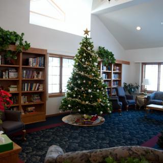 A cozy library room decorated with a Christmas tree and bookshelves.