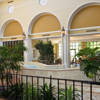 A beautifully designed indoor space featuring arched windows and lush greenery.