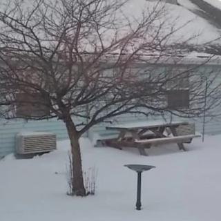 A snowy backyard with a tree and picnic table, next to a house during winter.