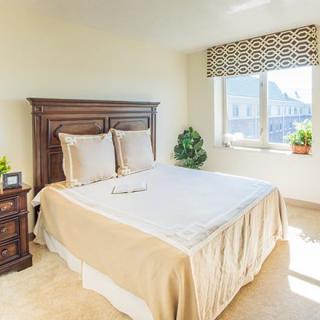 A bright and cozy bedroom with a neatly made bed, nightstand, window with patterned blinds, and potted plants.