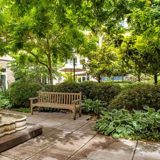 Tranquil garden setting with a wooden bench and lush greenery.