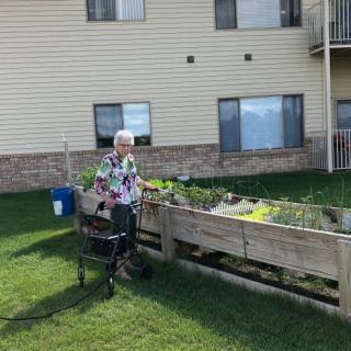A senior person using a walker while tending to a raised garden bed outside a residential building.