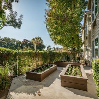 A sunny backyard with raised garden beds and lush greenery.