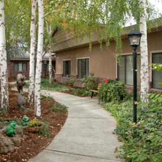 A serene outdoor walkway surrounded by lush landscaping and trees.