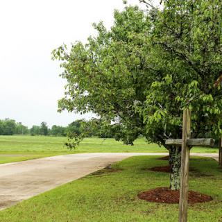 A peaceful countryside scene featuring a winding road and lush greenery.