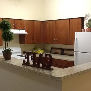 A cozy kitchen with wooden cabinets, featuring a stove, refrigerator, and decorative plants on the countertop.