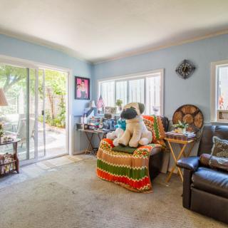 A cozy living room featuring a large stuffed animal on a sofa, bathed in natural light from the windows and sliding door.
