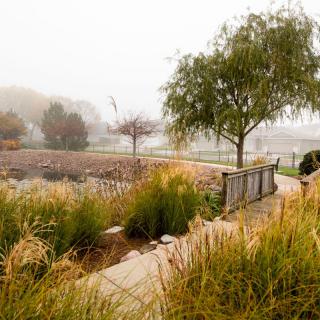 A tranquil foggy morning view of a park with trees and a winding pathway.