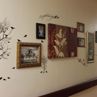 A beautifully decorated wall featuring various framed artworks and nature-inspired designs.