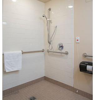 An accessible bathroom with grab bars and a handheld showerhead.
