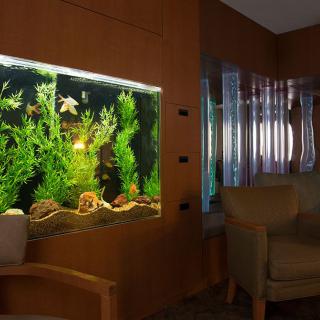 A cozy room featuring a well-lit aquarium with various plants and fish, alongside comfortable seating.