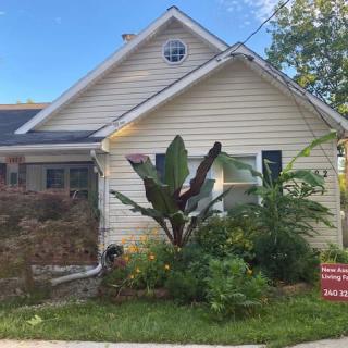 A cozy house with a lush garden and a 'for sale' sign in the front yard.