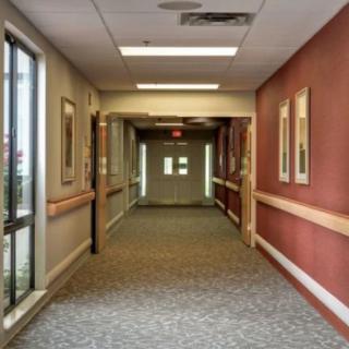 A well-lit hospital hallway with carpeted flooring and paintings on the walls.