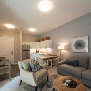A modern and cozy apartment living room with an open kitchen layout.