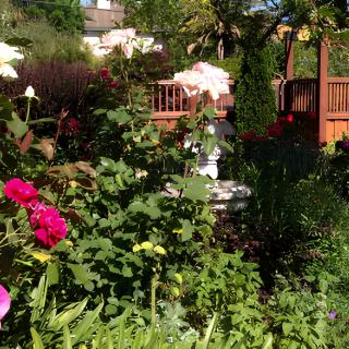 Mirabel Lodge At Carnation