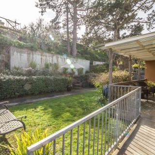 A sunny garden with a bench and lush greenery.