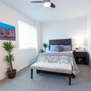 A modern and minimalist bedroom featuring a cozy bed, nightstand with a lamp, indoor plants, and wall artwork.